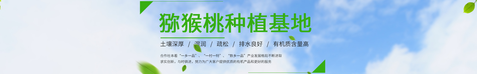 公海赌赌船水果种植基地