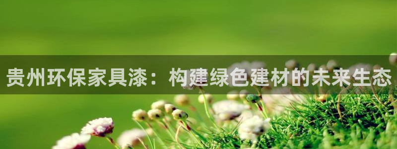 杏宇平台是真的吗