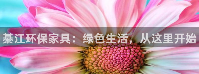 杏宇平台登录方式：綦江环保家具：绿色生活，从这里开始