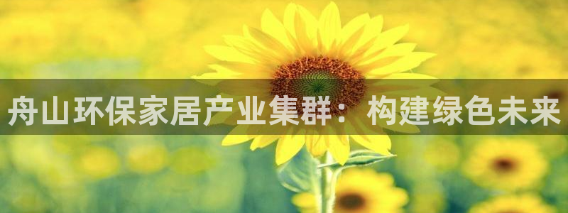 杏宇代理官网：舟山环保家居产业集群：构建绿色未来