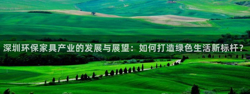 杏宇如何注册：深圳环保家具产业的发展与展望：如何打造绿色生活
