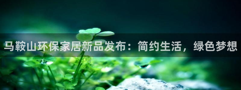 杏宇平台官网：马鞍山环保家居新品发布：简约生活，绿色梦想