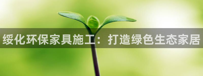 杏宇代理日工资多少