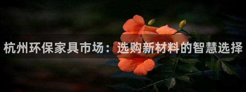 杏宇3代理