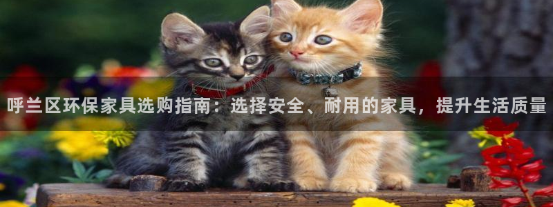 杏宇登陆线路：呼兰区环保家具选购指南：选择安全、耐用的家具，
