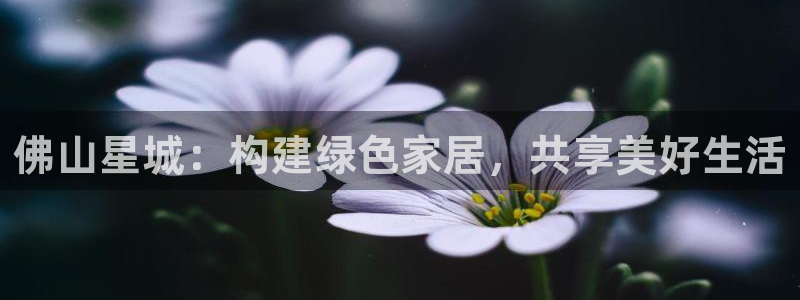 杏宇平台线路测试