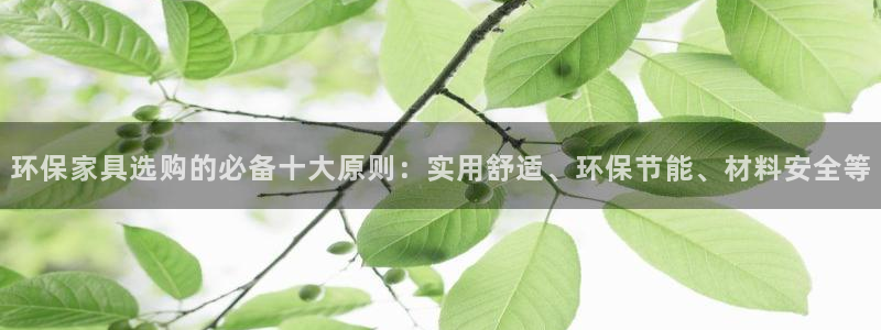 杏宇平台登录网址：环保家具选购的必备十大原则：实用舒适、环保
